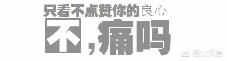 拜仁球员名单欧冠